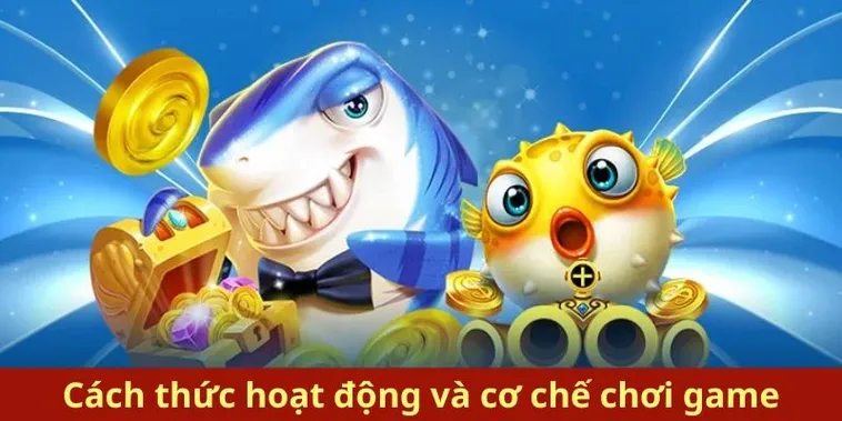 Cách Chơi Bắn Cá Royal Fishing Tại RikVip Hiệu Quả Nhất Cho Người Mới