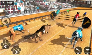 Cách Chơi Game Nhanh Đua Chó Tại RikVip Chuẩn Xác Từ A Đến Z