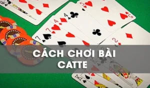 Cách Chơi Sắc Tê Cổng Game RikVip Chuẩn Xác Và Hiệu Quả Nhất Hiện Nay